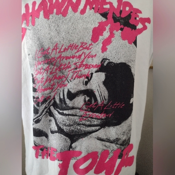SHAWN MENDES "The TOUR" 2019 OVERSIZE Graphic Hoodie!! - Picture 2 of 7